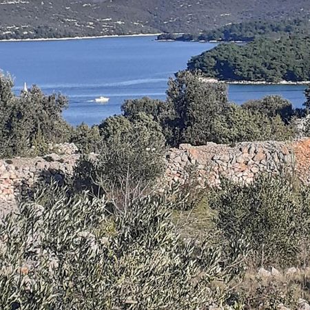 Villa Palfi Jezera Luaran gambar