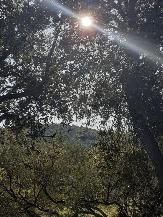 Villa Palfi Jezera Luaran gambar